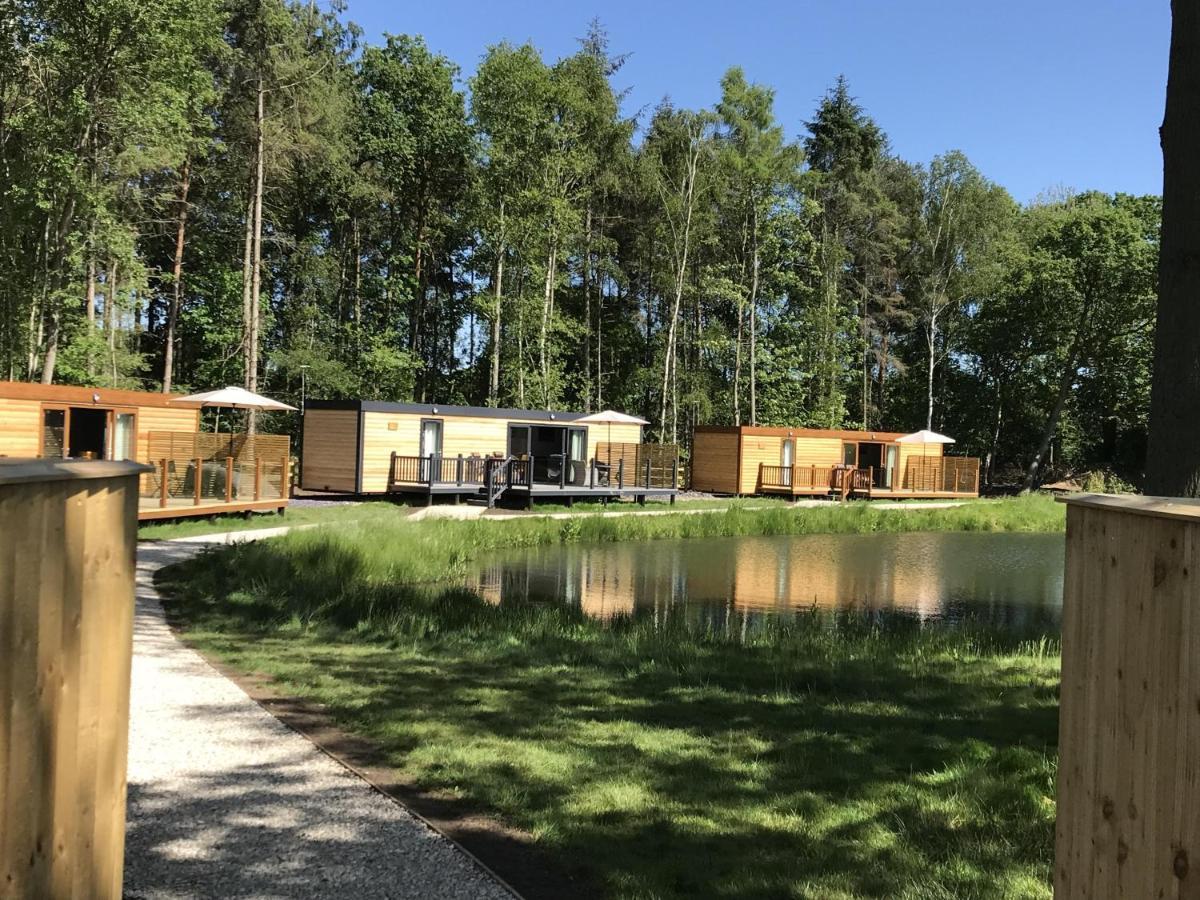 Oak Boutique Lodge Includes Hot Tub Air Con & Dog 约克 外观 照片