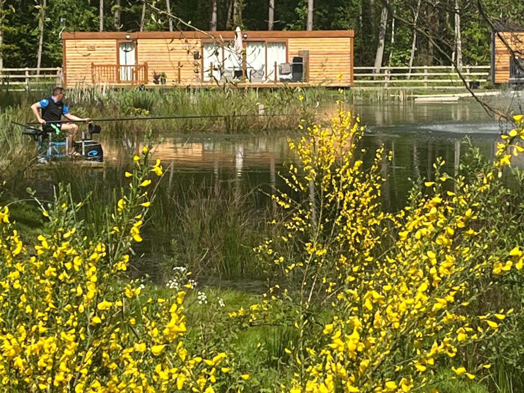 Oak Boutique Lodge Includes Hot Tub Air Con & Dog 约克 外观 照片